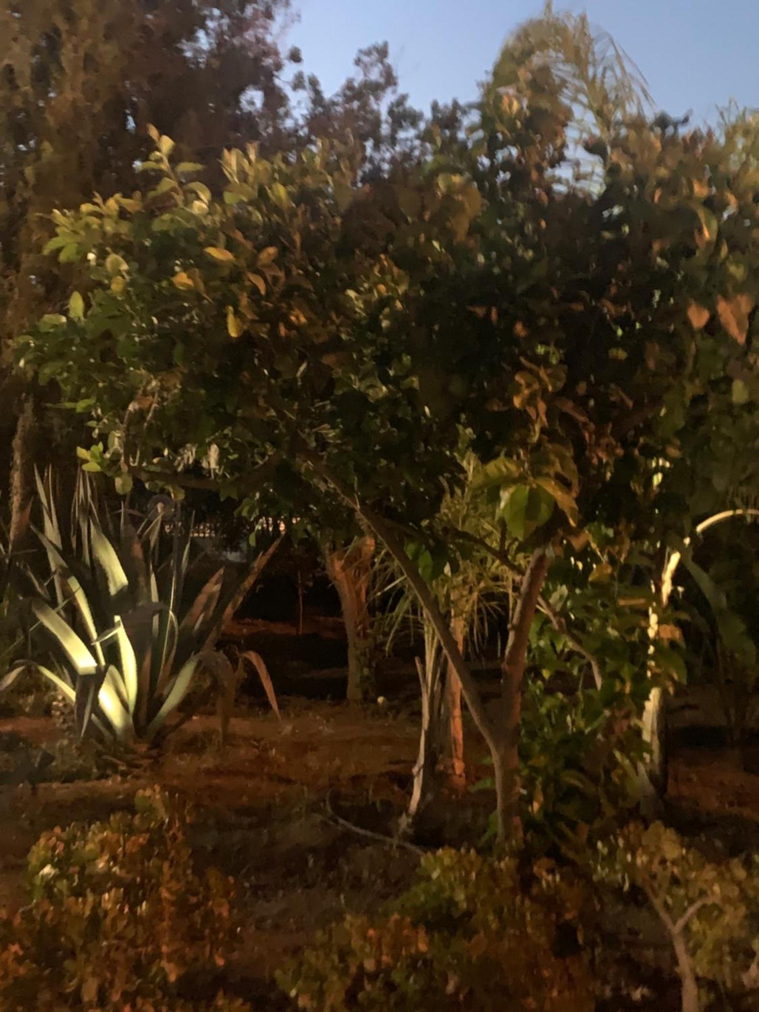 Casa Vacanze Astori Trabia Exterior foto